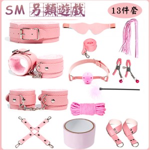 SM 另類遊戲 ‧ 13件套裝情趣組 - 粉紅