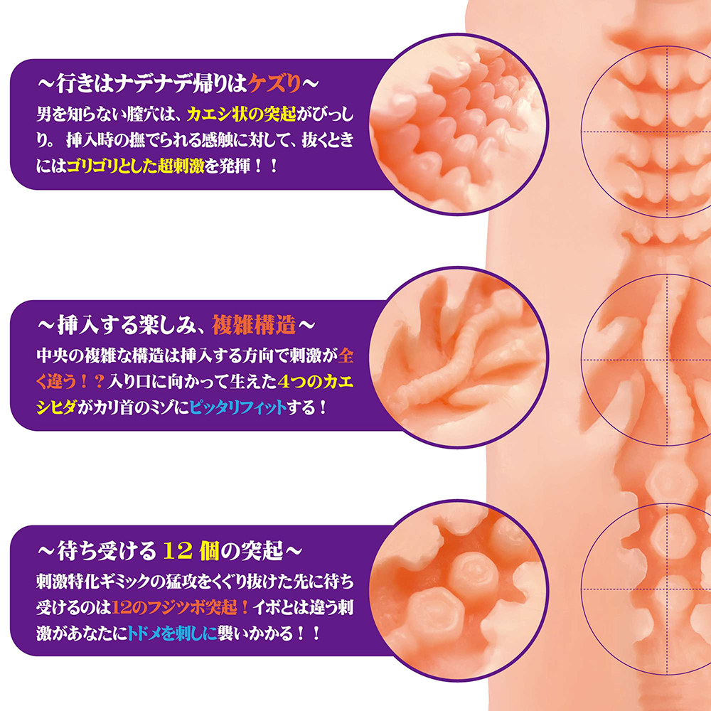 日本DNA JAPAN家庭教師X催眠 梓沙複雜構造男用自慰器