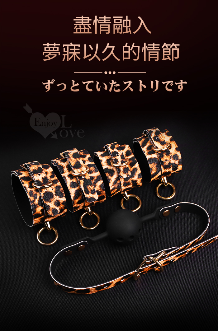 SM-豹紋十件組（收納皮包款）夫妻情侶情趣捆綁束縛套裝