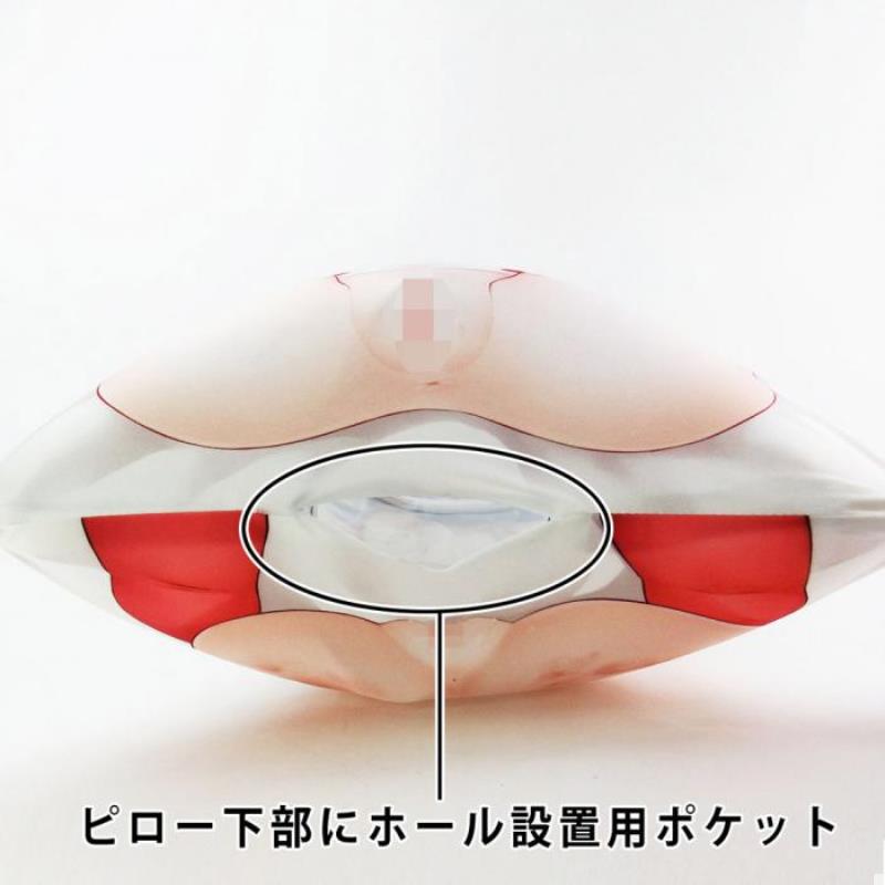日本DNA空中夢想空氣抱枕專用枕套No-6 柚十扇《550mm×350mm》不含圖中自慰套