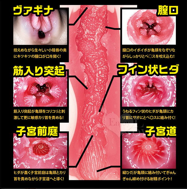日本NPG．名器の証明 肉厚感や恥丘三層疣體環狀褶皺交錯自慰器 - 葵つかさ